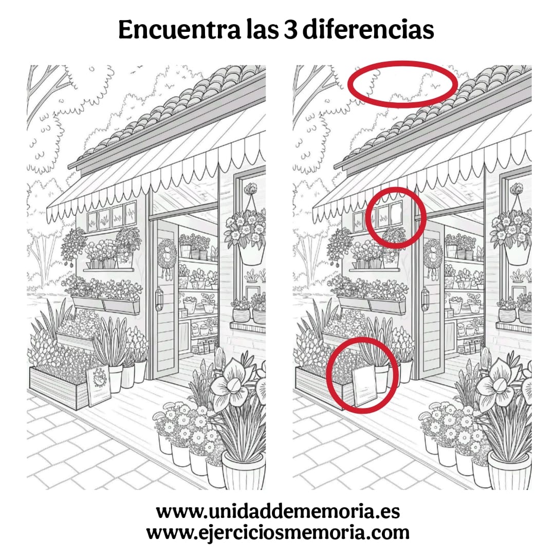 Solución al ejercicio: Diferencias